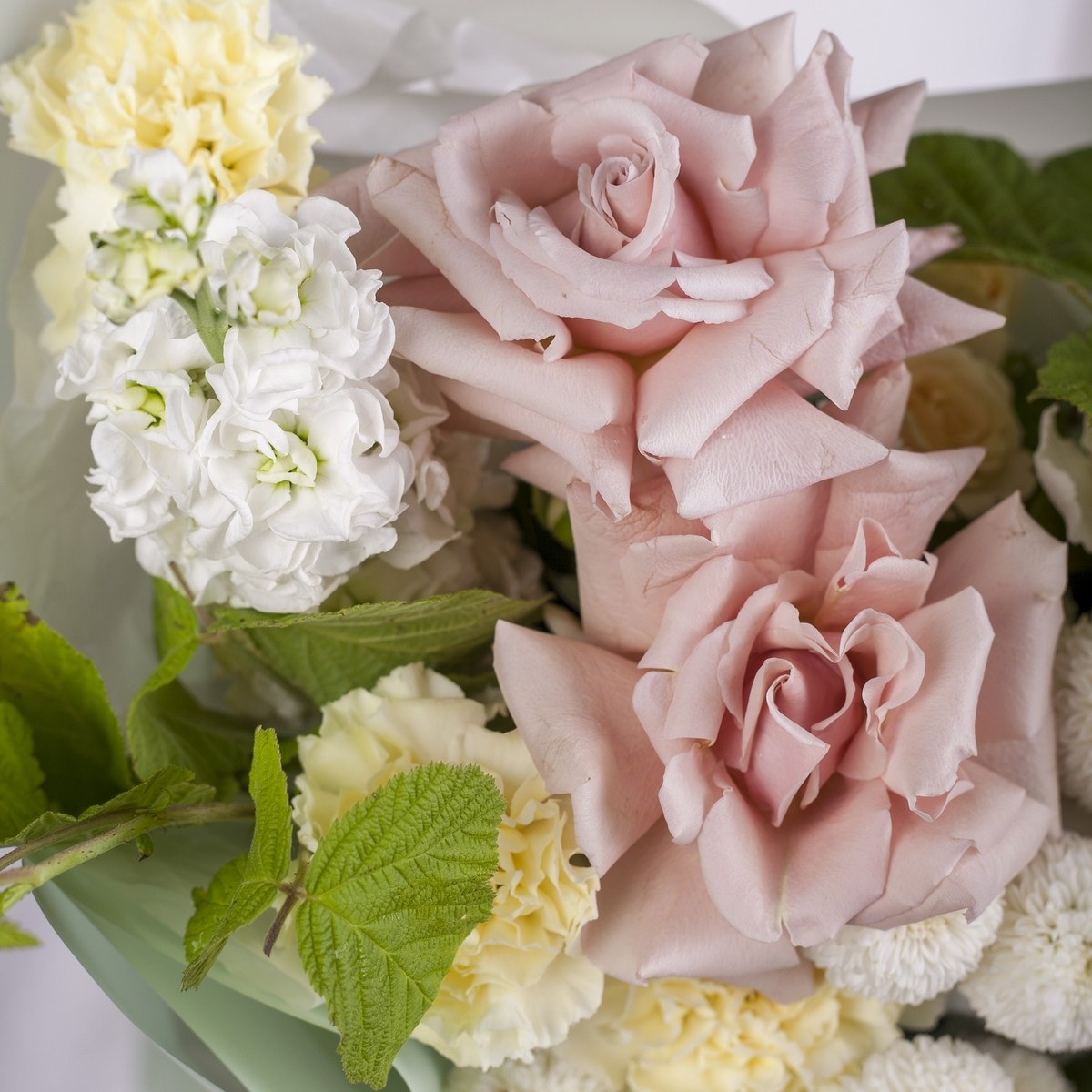 buket s francuzskoj rozoj 8